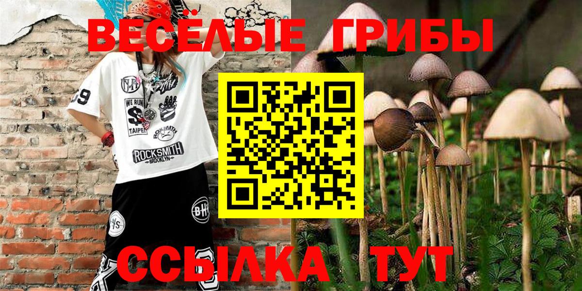 Галлюциногенные грибы мицелий Невинномысск